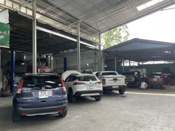 CHĂM SÓC " XẾ YÊU" NGÀY TẾT SAO CHO ĐÚNG CÁCH 